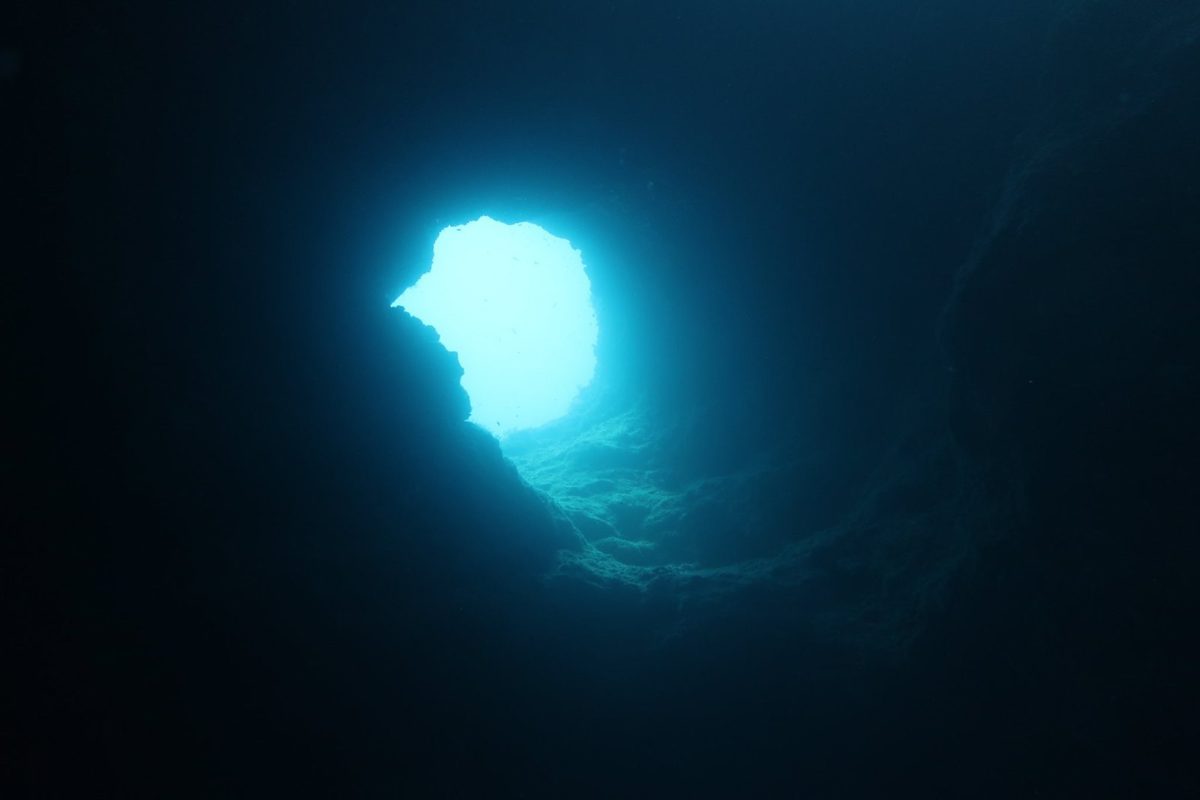 Looking up from inside the Blue Holes cavern toward the opening, Palau