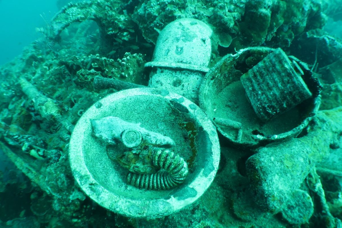 Bowls, a bottle and other cargo on a WWII wreck in Palau
