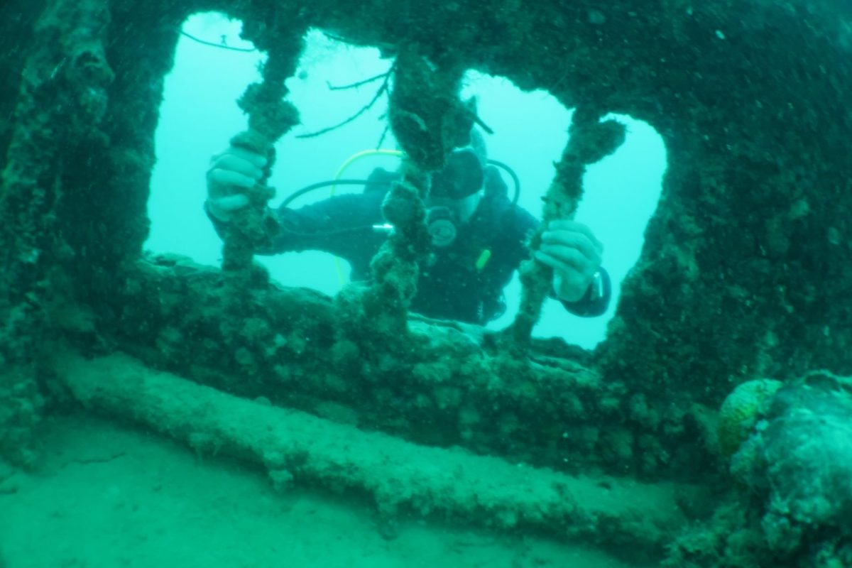 Diver seen through the open frames of a WWII wreck, Palau